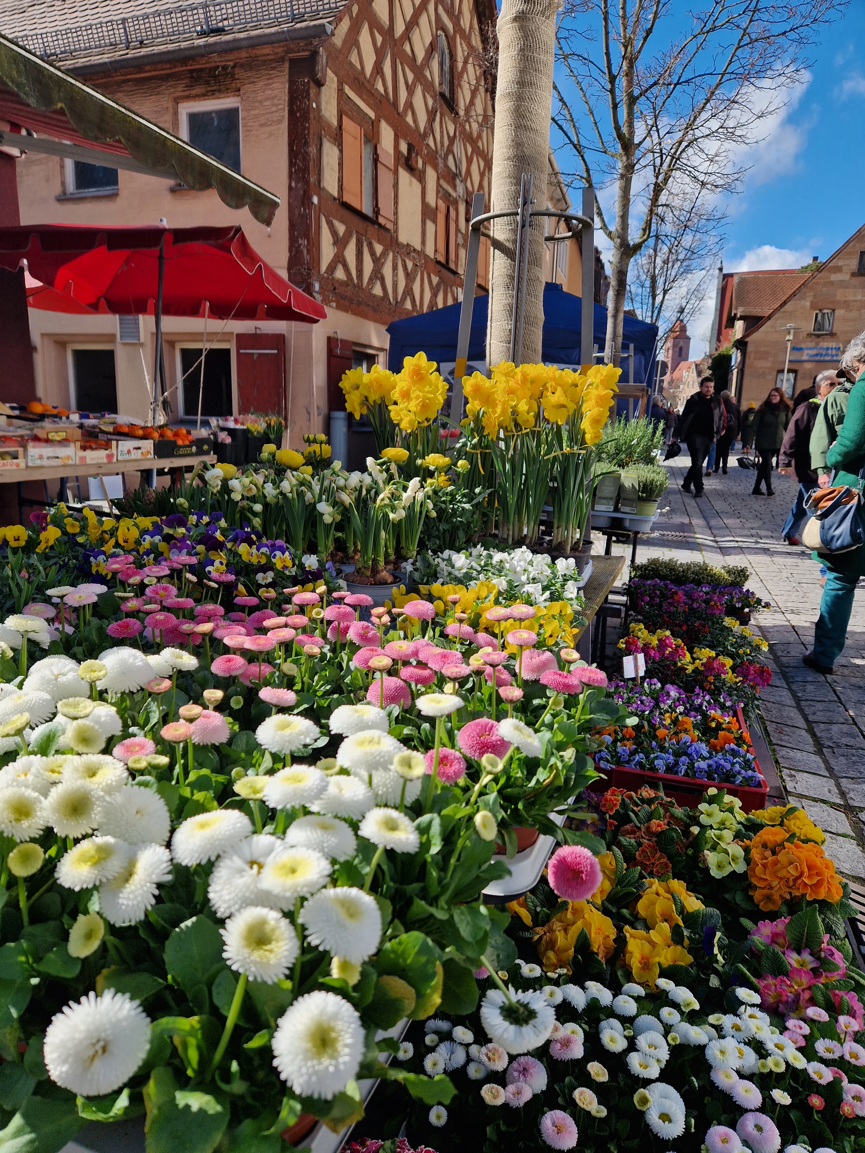 Frühlingsmarkt Blumen
